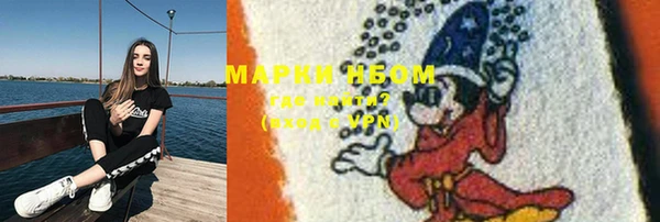дурь Алексин