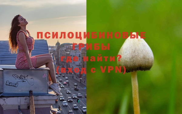 ГАЛЛЮЦИНОГЕННЫЕ ГРИБЫ Алексеевка